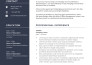 offer professional resume writing services